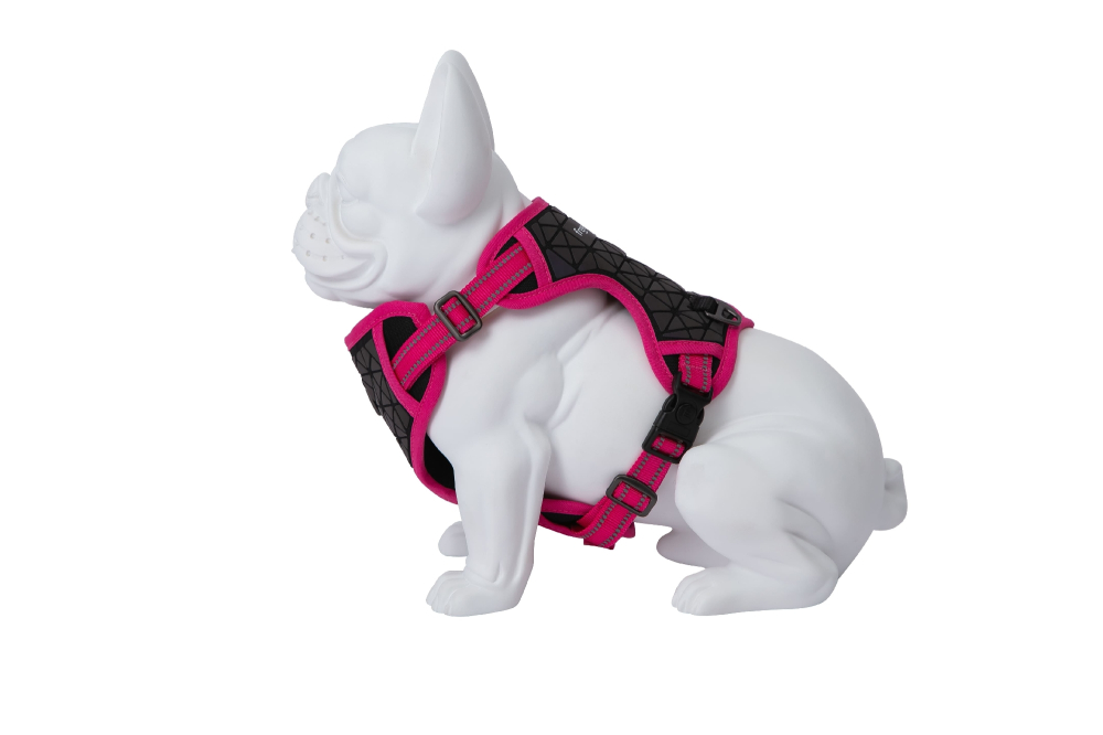 Freedog Boreal Harness FUCHSIA M 20mm Neck 38/59cm Chest 38/75cm [3]