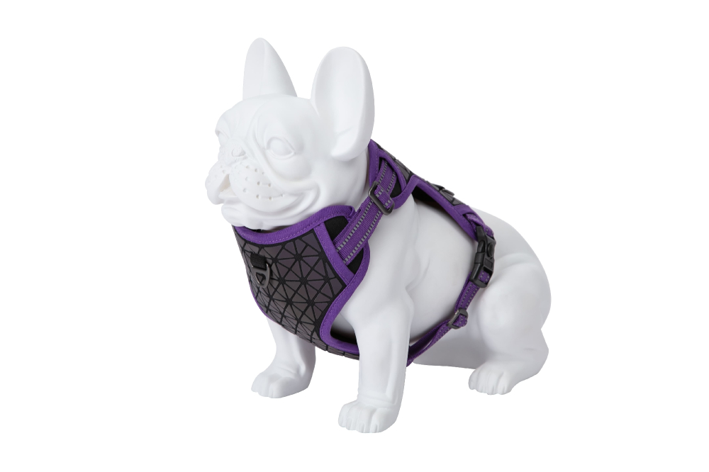 Freedog Boreal Harness LILAC S 15mm Neck 32/48cm Chest 34/63cm - Ham [4]