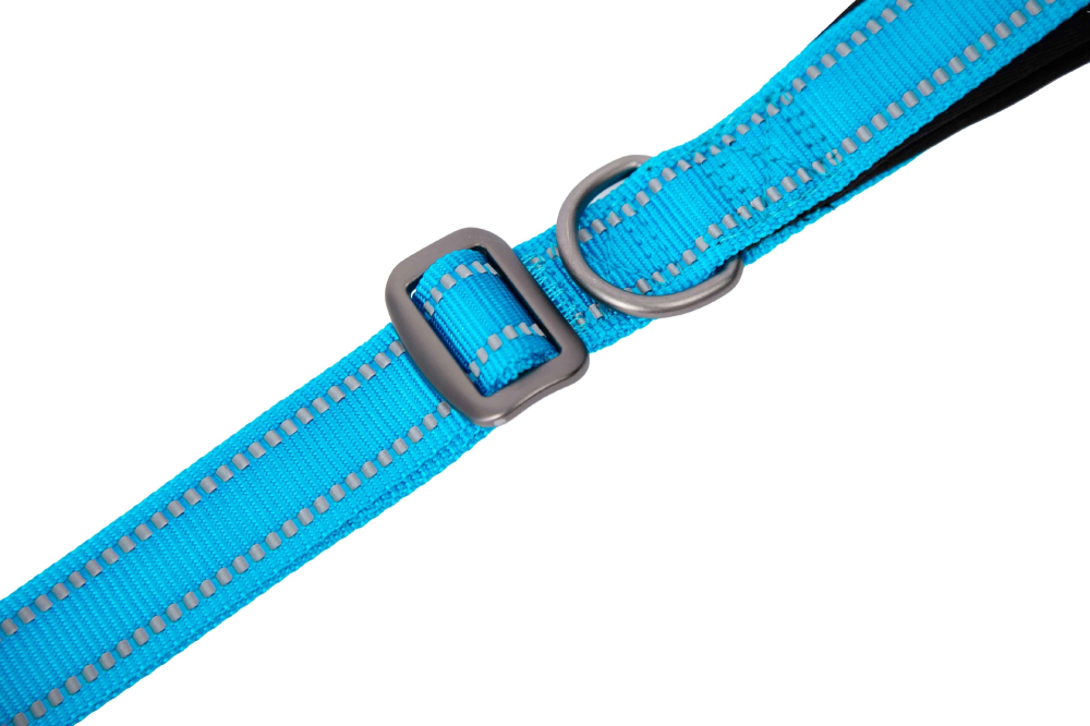 Freedog Boreal Leash Blue Capri L 25 mm x 120/180 cm - Lesa [2]