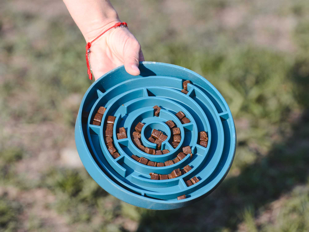 Freedog Bowl Soft Slow Food BLUE TEAL 18 x 18 x 3.4cm [3]