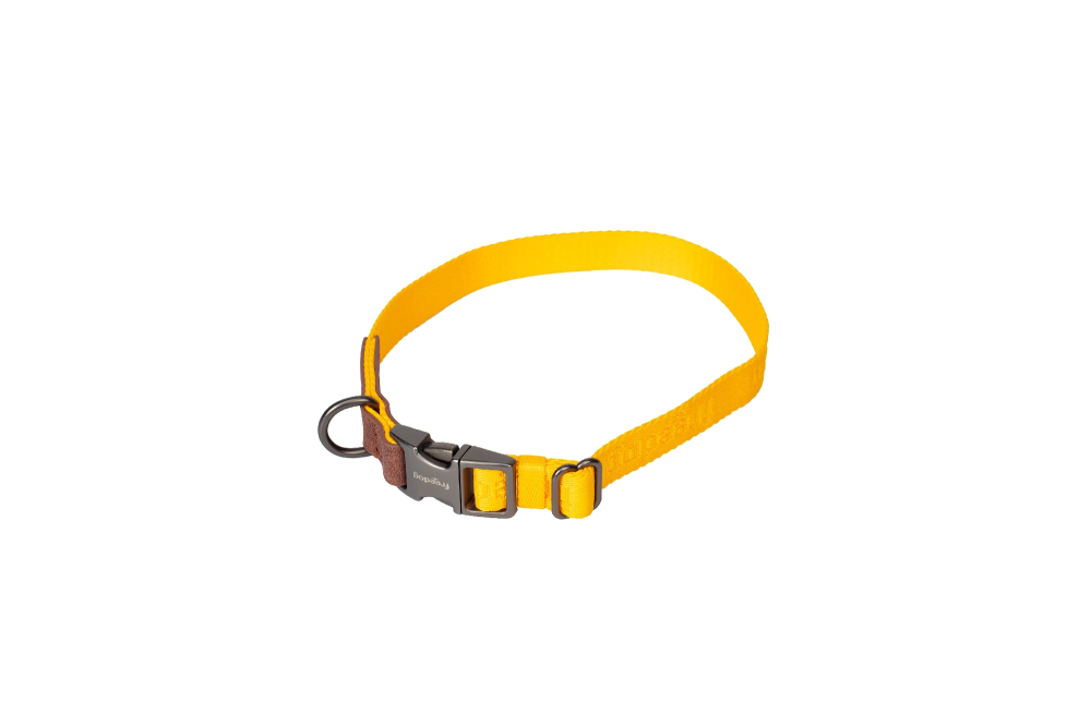 Freedog Linum Collar YELLOW SUNRISE S 15mm x 25/35cm - Zgarda [3]
