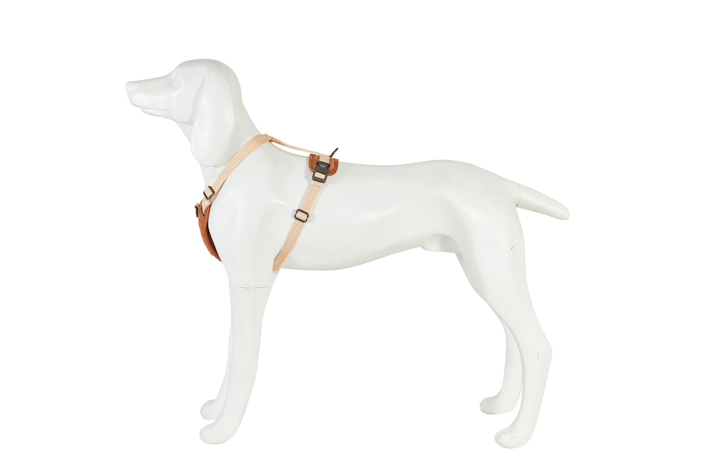 Freedog Linum Harness SAND BEIGE M 20mm x Neck 34/50cm Chest 50/70cm [2]