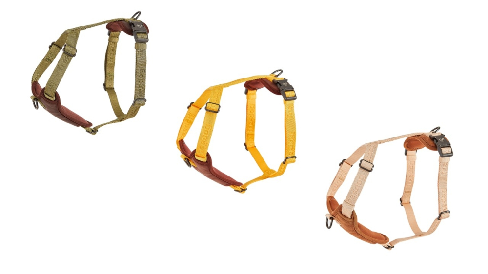 Freedog Linum Harness YELLOW SUNRISE M 20mm x Neck 34/50cm Chest 50/70cm [2]