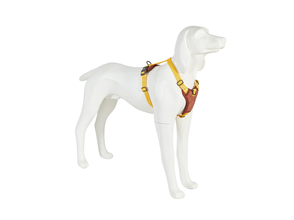 Freedog Linum Harness YELLOW SUNRISE S 15mm x Neck 30/42cm Chest 38/50cm [3]