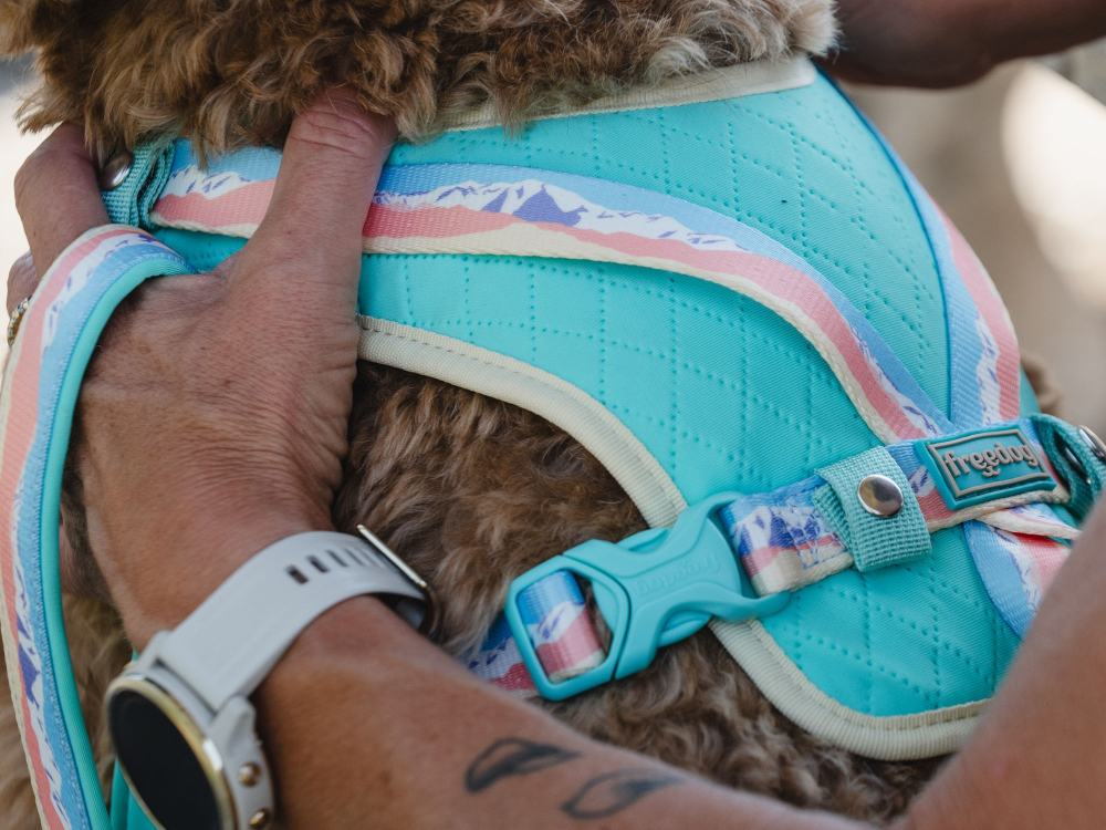 Freedog Peak Harness Sierra M 20mm x Neck 42-66cm Chest 65-78cm [3]