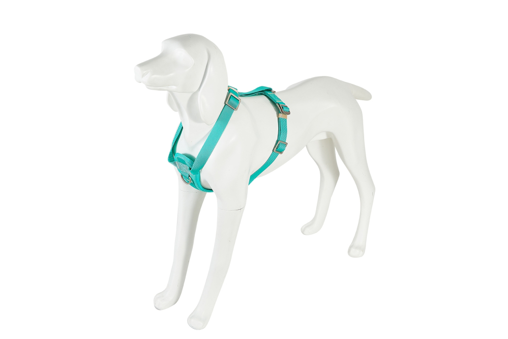Freedog Saferide PRO Safety Harness Special for Cars TURQUOISE L 25mm [3]