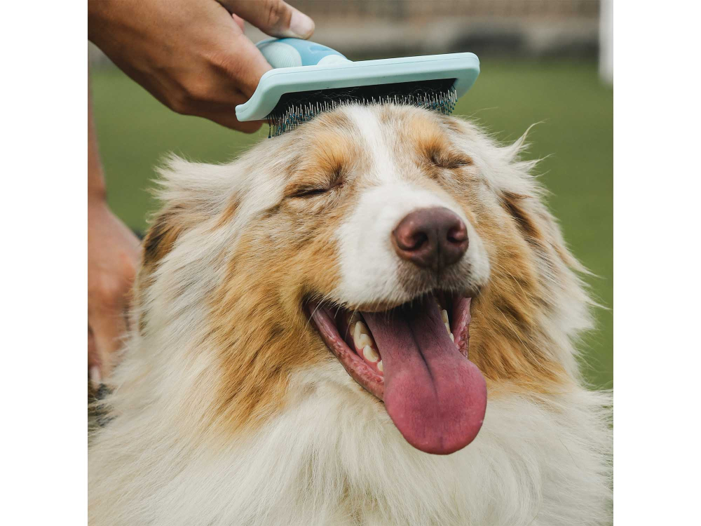 Freedog Slicker Brush L 17,5 x 12,1 x 4,2 cm - Perie [2]
