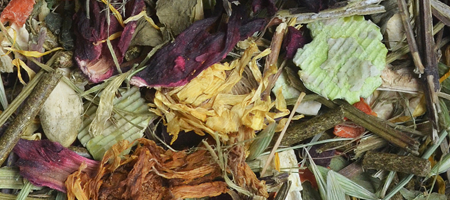 Natural Crown Chinchila Hrana Amestec - 750G [2]