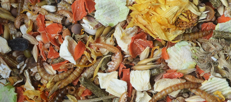 Natural Crown Hamster Hrana Amestec - 750G [2]