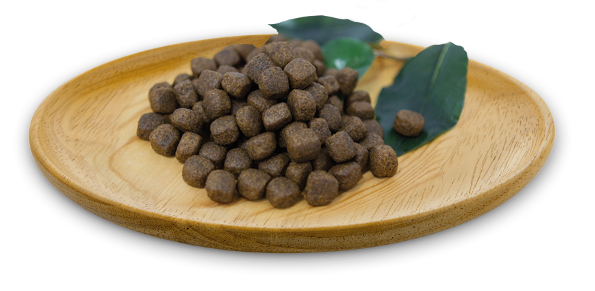 Natural Greatness Turkey Recipe Adult Dogs - All breeds 2kg (curcan) [2]