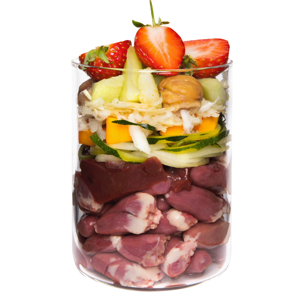 Terra Canis Grain Free Duck 800g(Rață cu dovleac, căpșuni și floare de soc) [2]