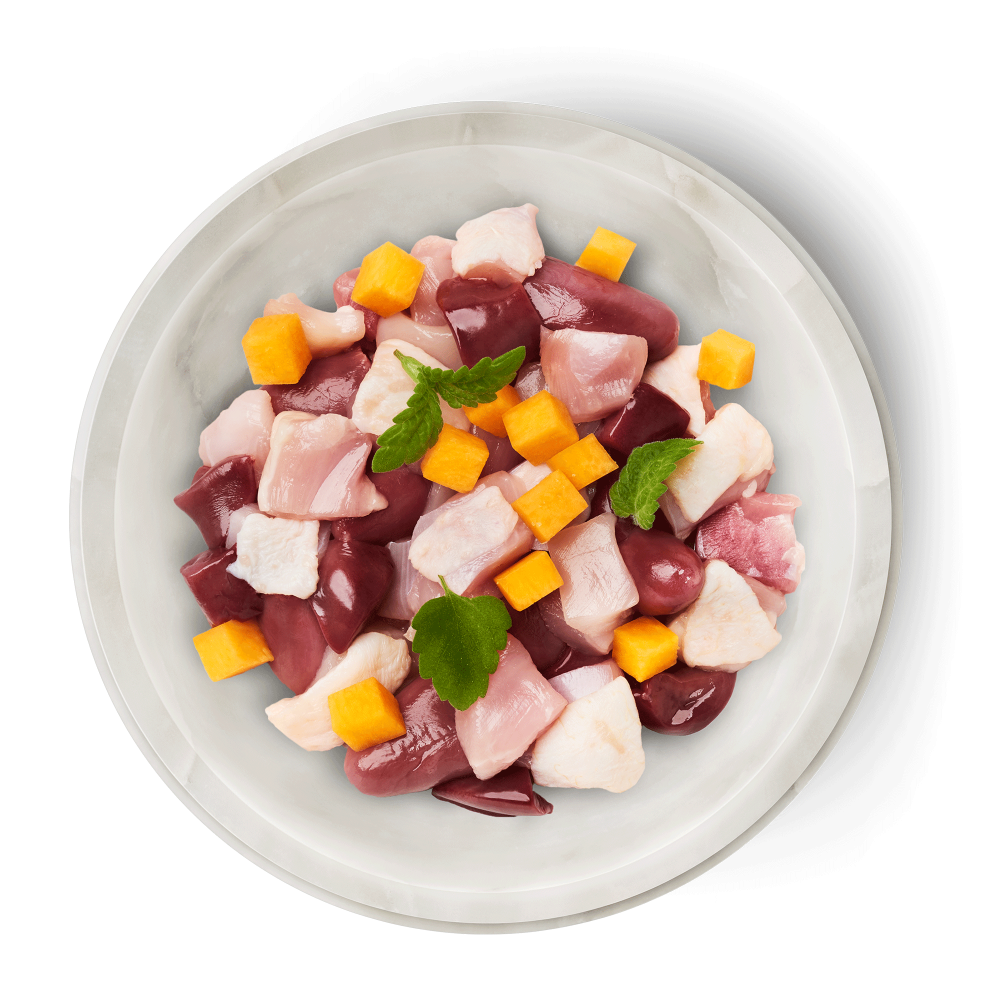 Terra Felis Kitten Mono Chicken 70g (Pui) [2]