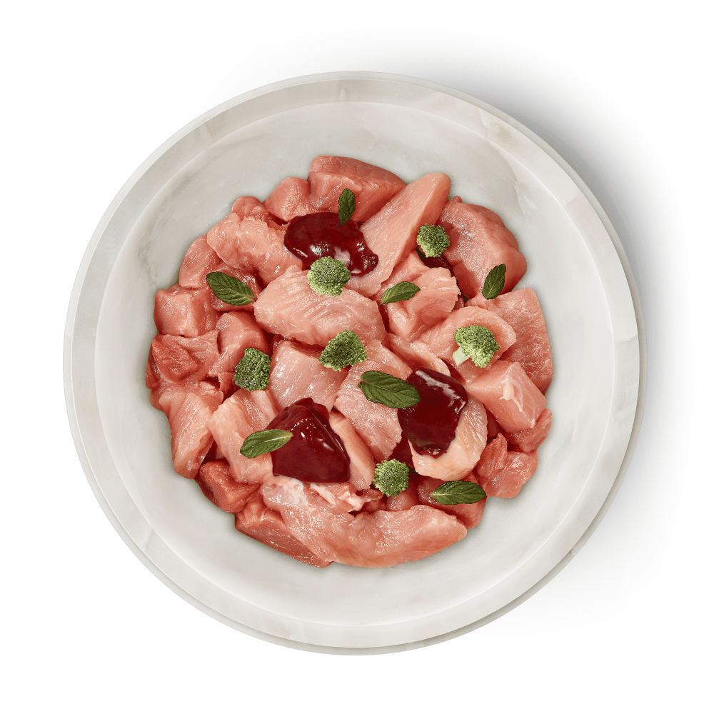 Terra Felis Cat Rabbit Turkey 80g (Iepure și Curcan) [2]