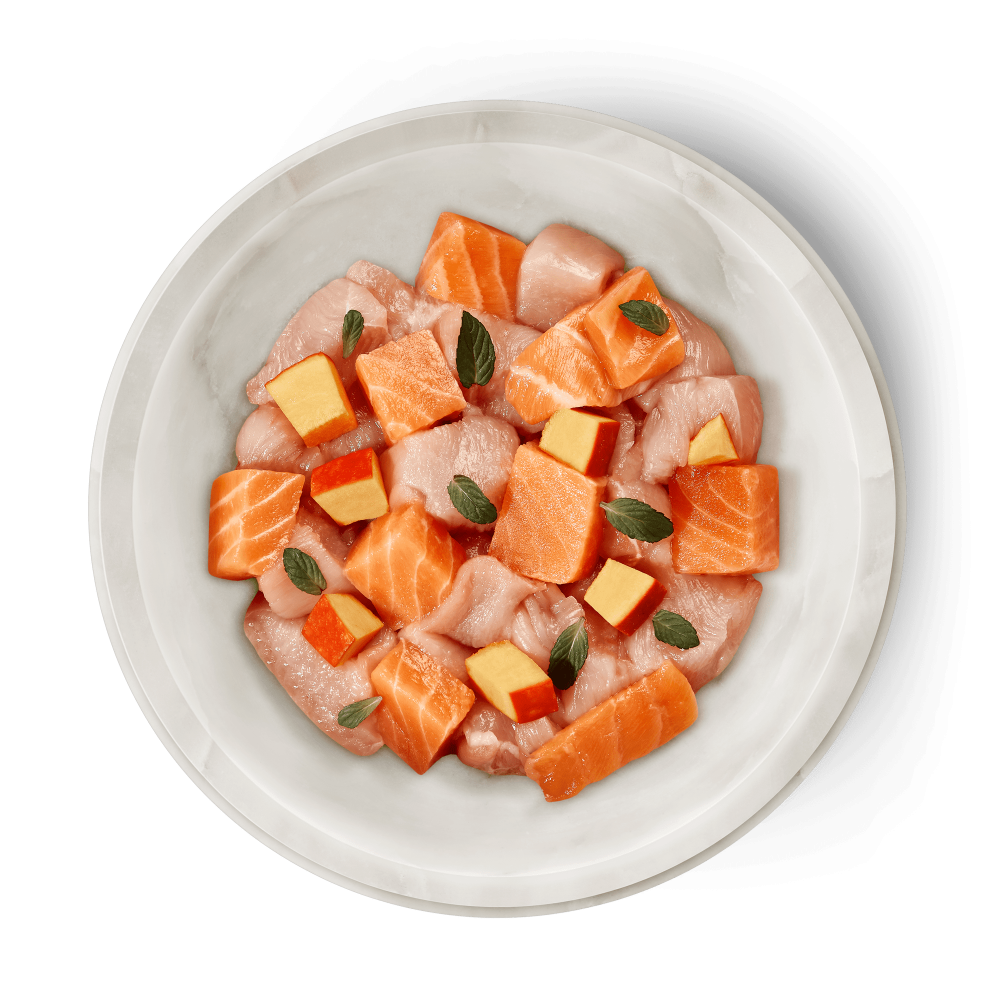 Terra Felis Salmon Chicken 80g (Somon și Pui) [2]