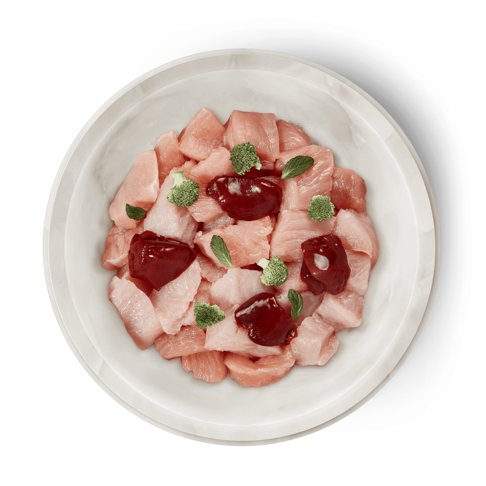 Terra Felis Turkey 80g (Curcan) [2]