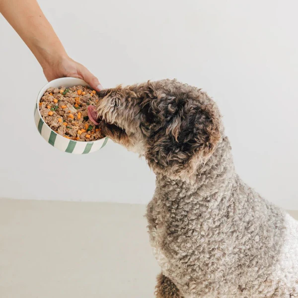 Wild Balance Dog Pork with Fresh Veggie 400g - BARF Philosophy (Porc si Legume) [3]