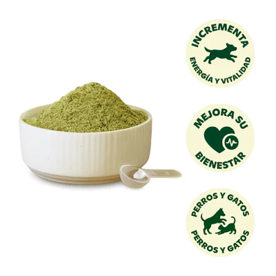 WILD BALANCE BARF IN ONE 100G - Supliment Nutritiv Pentru Caini [1]