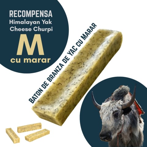 RECOMPENSE - Baton branza de Yak Himalaya Churpi cu Marar M - recompensa caini