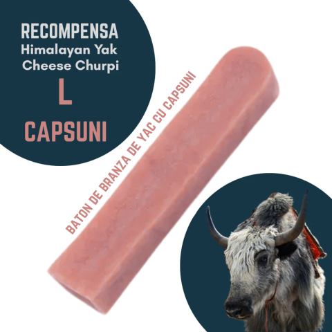 RECOMPENSE - Baton branza de Yak Himalaya Churpi L cu Capsuni - recompensa caini