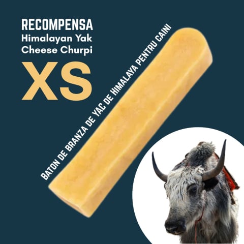 RECOMPENSE - Baton branza de Yak Himalaya Churpi XS - recompensa caini