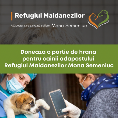 Donatii hrana - Donează o porție de Hrană pentru Asociatia Refugiul Maidanezilor