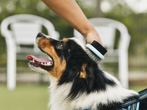 Freedog 2-in-1 Grooming Brush S 21,5 x 6 x 5,4 cm [2]