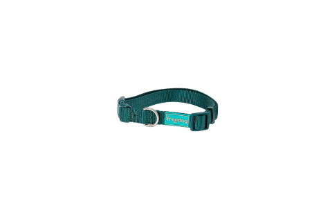 Freedog Basic Nylon Collar GREEN M 20mm x 35/60cm - Zgarda [2]
