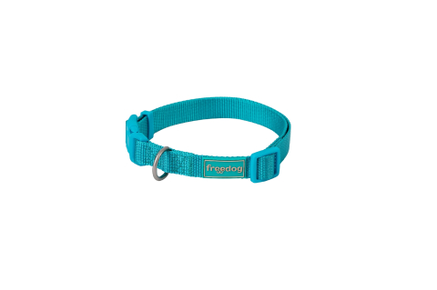 ACCESORII - Freedog Basic Nylon Collar TURQUOISE S 15mm x 35/50cm - Zgarda