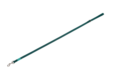 Freedog Basic Nylon Leash GREEN XS 10mm x 120cm - Lesa [2]