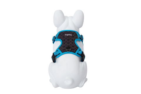 Freedog Boreal Harness Blue Capri L 25mm Neck 43/65cm Chest 45/90cm [2]