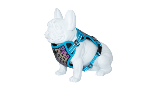 ACCESORII - Freedog Boreal Harness Blue Capri L 25mm Neck 43/65cm Chest 45/90cm