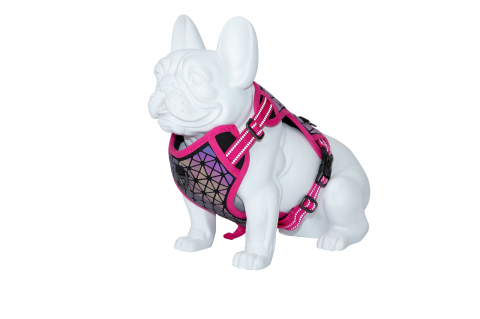 CAINI - Freedog Boreal Harness FUCHSIA L 25mm Neck 43/65cm Chest 45/90cm