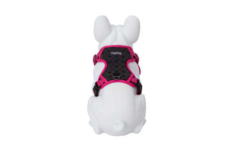 Freedog Boreal Harness FUCHSIA M 20mm Neck 38/59cm Chest 38/75cm [3]