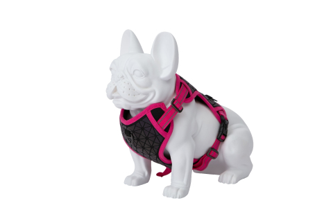 Freedog Boreal Harness FUCHSIA M 20mm Neck 38/59cm Chest 38/75cm [1]