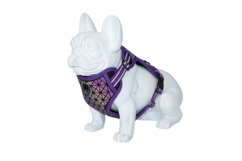CAINI - Freedog Boreal Harness LILAC S 15mm Neck 32/48cm Chest 34/63cm - Ham