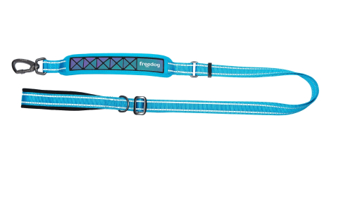 CAINI - Freedog Boreal Leash Blue Capri L 25 mm x 120/180 cm - Lesa