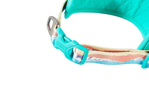 Freedog Peak Collar Sierra L 25 mm x 53-63cm [3]