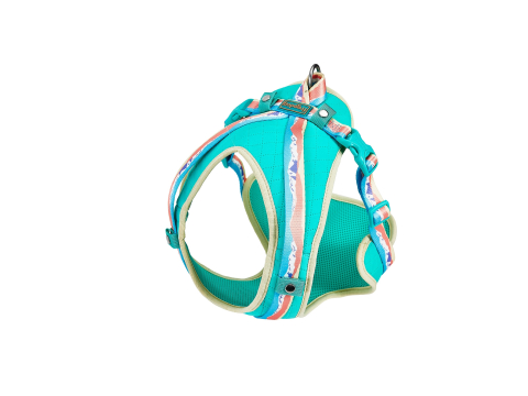 CAINI - Freedog Peak Harness Sierra S 15mm x Neck 32-50cm Chest 54-66cm
