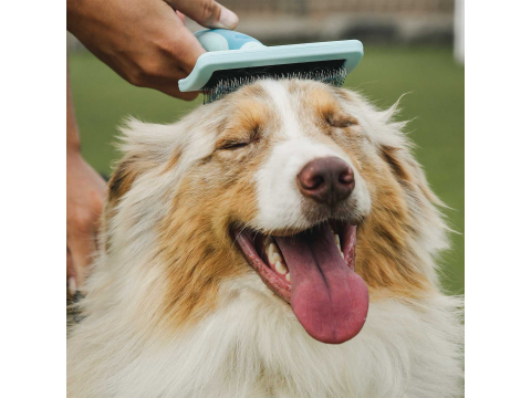 Freedog Slicker Brush L 17,5 x 12,1 x 4,2 cm - Perie [1]
