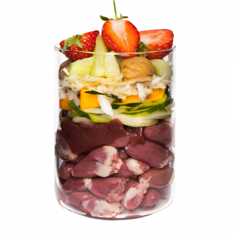 Terra Canis Grain Free Duck 800g(Rață cu dovleac, căpșuni și floare de soc) [1]