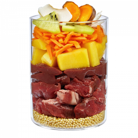 Terra Canis Planet Sun Keeper Lover 400g(Carne de vită cu nucă de cocos, fructe coapte la soare și turmeric) [1]