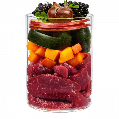 Terra Canis Planet Tree Lover 400g(Vanat castane, mure și ierburi de pădure) [1]