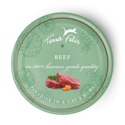 HRANA UMEDA - Terra Felis Beef 80g (vita)