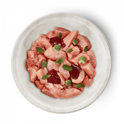 Terra Felis Cat Rabbit Turkey 80g (Iepure și Curcan) [1]