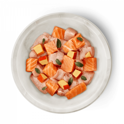 Terra Felis Salmon Chicken 80g (Somon și Pui) [1]