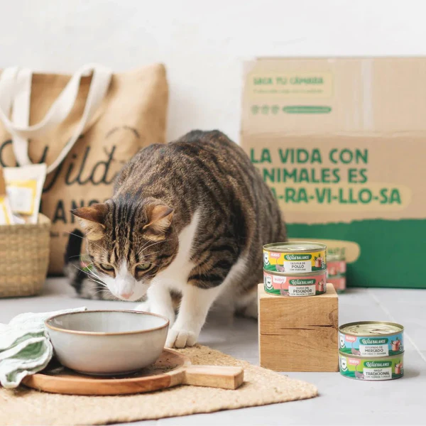 Wild Balance Cat Farmer's Stew Turkey and Beef 80g [2]