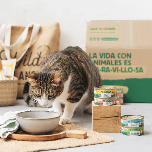 Wild Balance Cat Traditional Ragout Beef and Chicken 80g (Vita si Pui) [1]