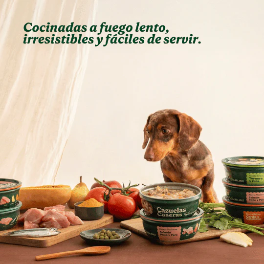 Wild Balance Dog Anchovy, Turkey and Apple 280g - Homemade Casserole (Hamsie, Curcan si Mar) [1]