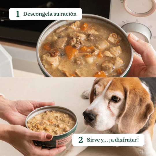 Wild Balance Dog Beef and Pineapple 280g - Homemade Casserole (Vita si Ananas) [2]