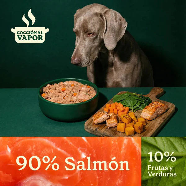 Wild Balance Dog Pouch Salmon 400g - Cooked Food (Somon) [2]